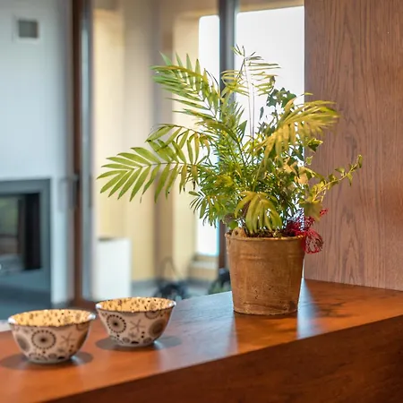Venmar Luxury House Platanés